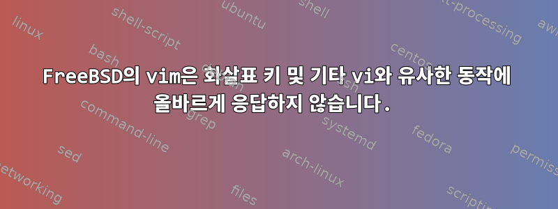 FreeBSD의 vim은 화살표 키 및 기타 vi와 유사한 동작에 올바르게 응답하지 않습니다.