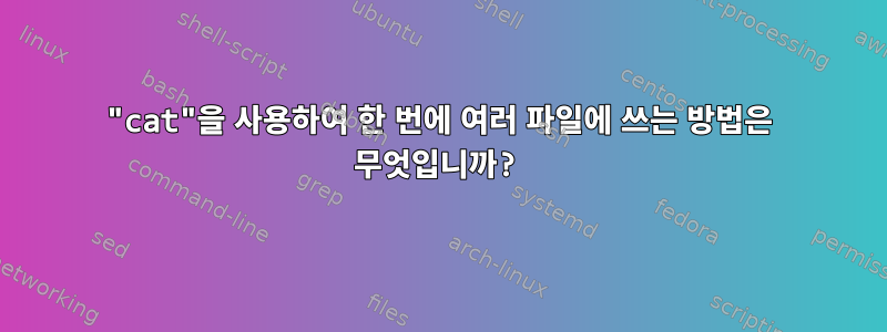 "cat"을 사용하여 한 번에 여러 파일에 쓰는 방법은 무엇입니까?