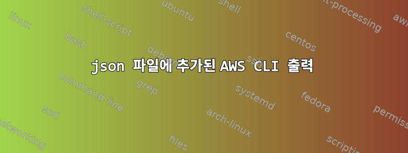 json 파일에 추가된 AWS CLI 출력