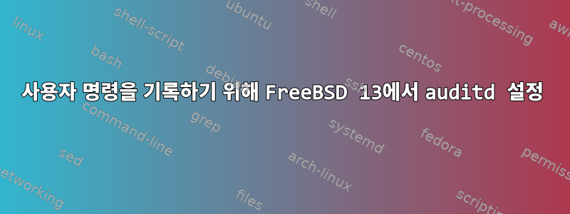 사용자 명령을 기록하기 위해 FreeBSD 13에서 auditd 설정