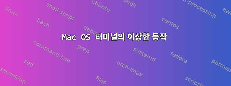 Mac OS 터미널의 이상한 동작