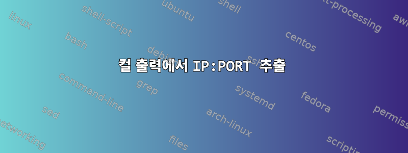 컬 출력에서 ​​IP:PORT 추출