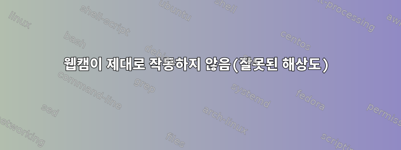 웹캠이 제대로 작동하지 않음(잘못된 해상도)