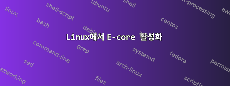 Linux에서 E-core 활성화