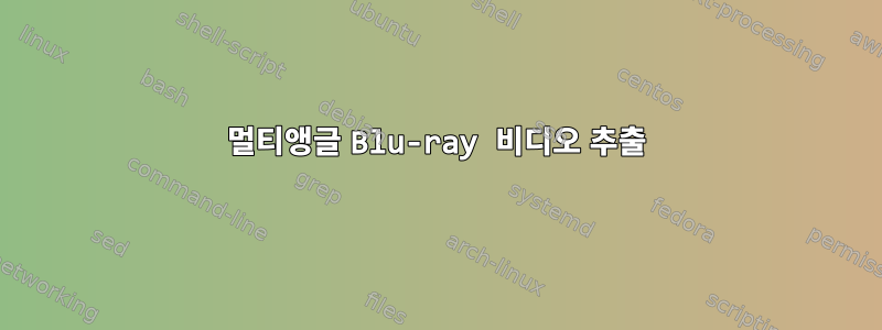 멀티앵글 Blu-ray 비디오 추출