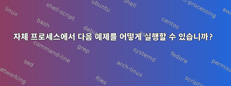 자체 프로세스에서 다음 예제를 어떻게 실행할 수 있습니까?