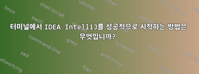 터미널에서 IDEA IntelliJ를 성공적으로 시작하는 방법은 무엇입니까?