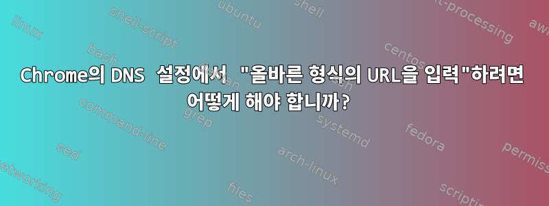 Chrome의 DNS 설정에서 "올바른 형식의 URL을 입력"하려면 어떻게 해야 합니까?