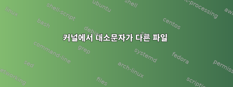 커널에서 대소문자가 다른 파일