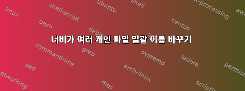 너비가 여러 개인 파일 일괄 이름 바꾸기