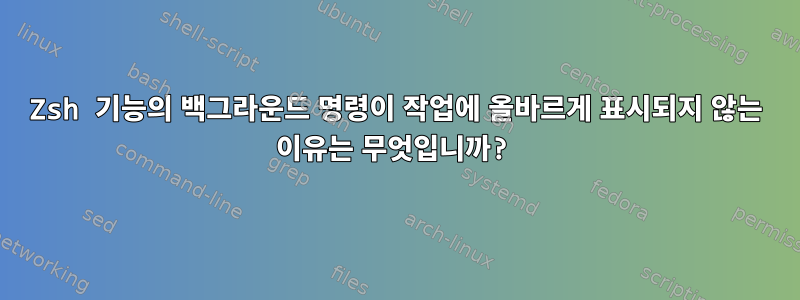 Zsh 기능의 백그라운드 명령이 작업에 올바르게 표시되지 않는 이유는 무엇입니까?