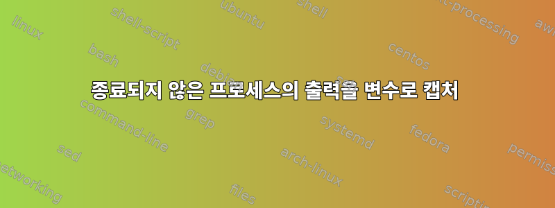 종료되지 않은 프로세스의 출력을 변수로 캡처