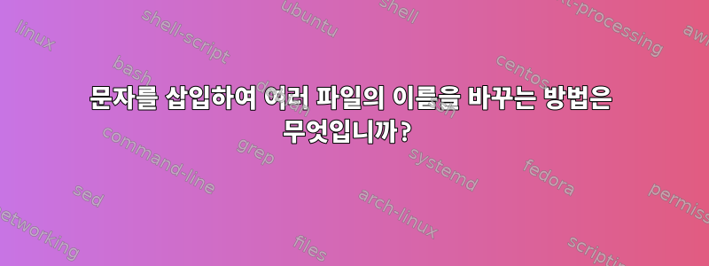 문자를 삽입하여 여러 파일의 이름을 바꾸는 방법은 무엇입니까?