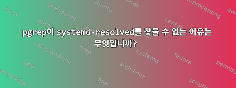 pgrep이 systemd-resolved를 찾을 수 없는 이유는 무엇입니까?