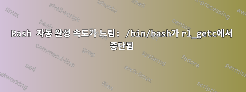 Bash 자동 완성 속도가 느림: /bin/bash가 rl_getc에서 중단됨