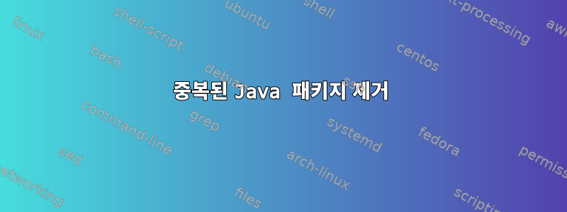 중복된 Java 패키지 제거