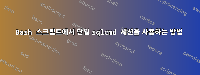 Bash 스크립트에서 단일 sqlcmd 세션을 사용하는 방법