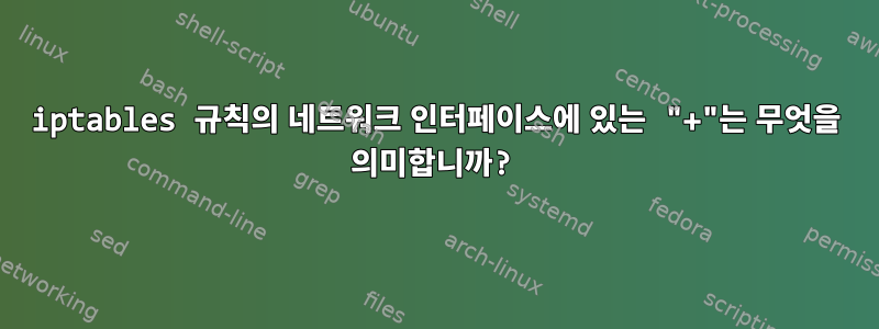 iptables 규칙의 네트워크 인터페이스에 있는 "+"는 무엇을 의미합니까?