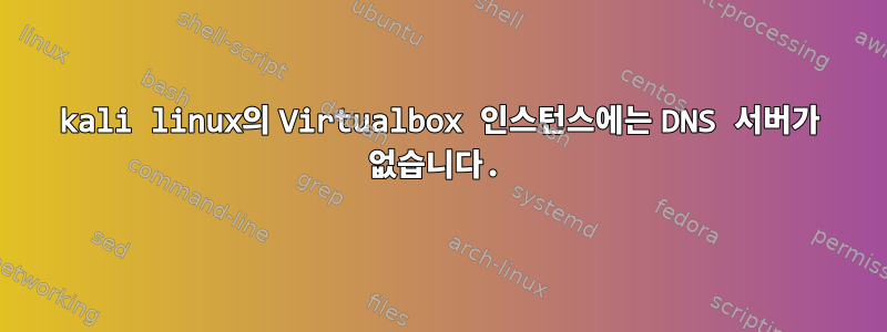 kali linux의 Virtualbox 인스턴스에는 DNS 서버가 없습니다.