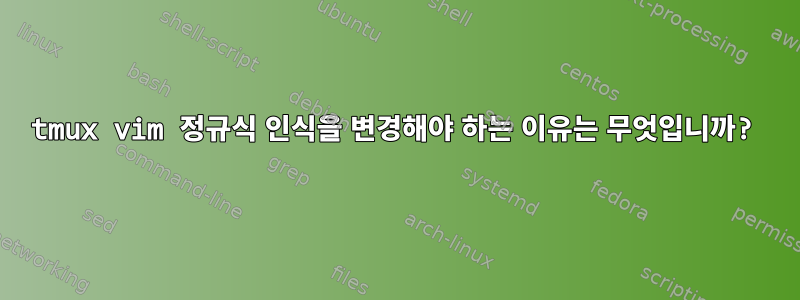 tmux vim 정규식 인식을 변경해야 하는 이유는 무엇입니까?