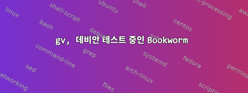 gv, 데비안 테스트 중인 Bookworm