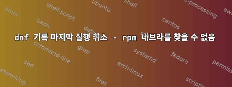 dnf 기록 마지막 실행 취소 - rpm 네브라를 찾을 수 없음