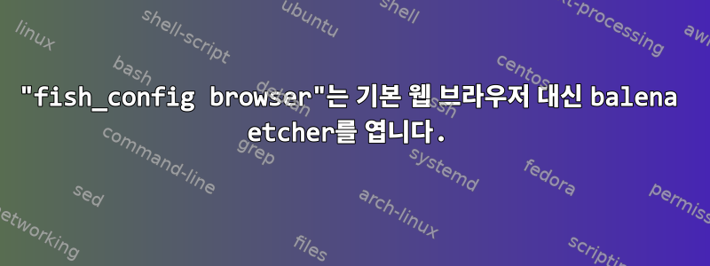 "fish_config browser"는 기본 웹 브라우저 대신 balena etcher를 엽니다.