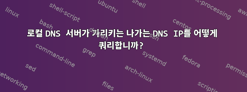 로컬 DNS 서버가 가리키는 나가는 DNS IP를 어떻게 쿼리합니까?