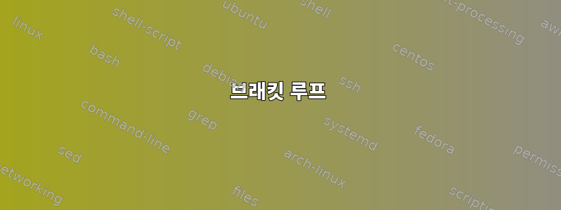 브래킷 루프