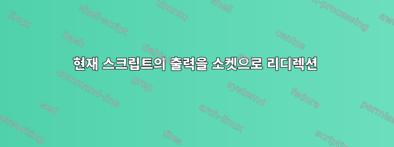 현재 스크립트의 출력을 소켓으로 리디렉션