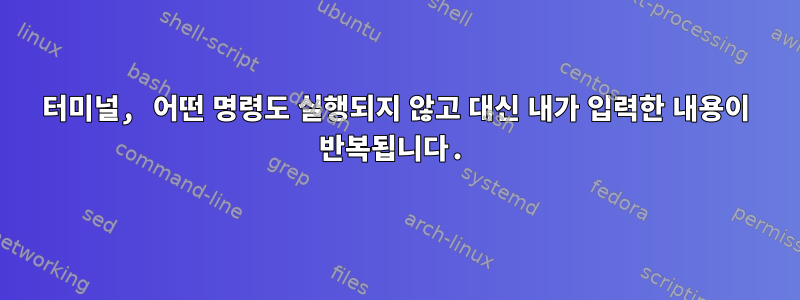 터미널, 어떤 명령도 실행되지 않고 대신 내가 입력한 내용이 반복됩니다.