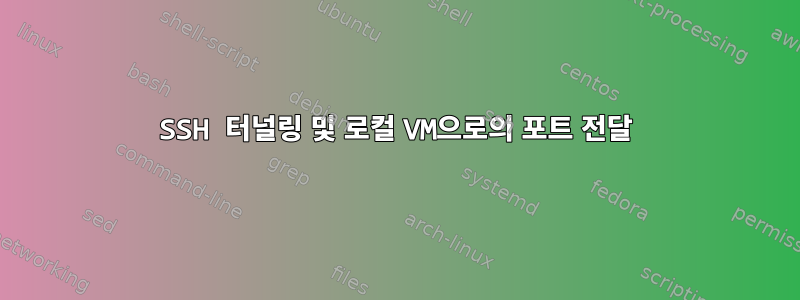 SSH 터널링 및 로컬 VM으로의 포트 전달