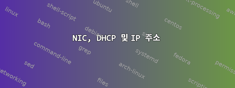 NIC, DHCP 및 IP 주소