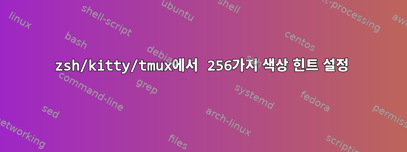 zsh/kitty/tmux에서 256가지 색상 힌트 설정