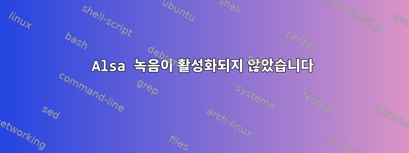 Alsa 녹음이 활성화되지 않았습니다