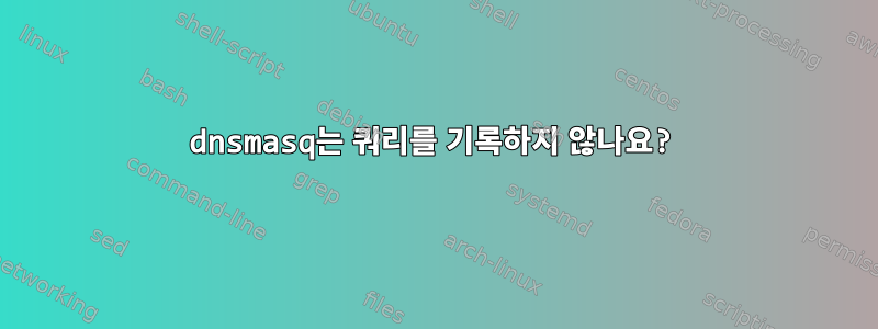 dnsmasq는 쿼리를 기록하지 않나요?