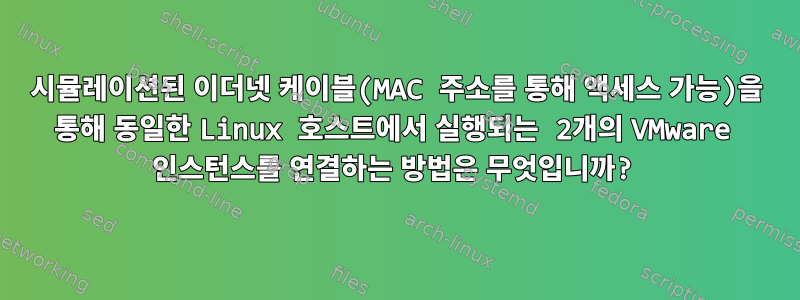 시뮬레이션된 이더넷 케이블(MAC 주소를 통해 액세스 가능)을 통해 동일한 Linux 호스트에서 실행되는 2개의 VMware 인스턴스를 연결하는 방법은 무엇입니까?