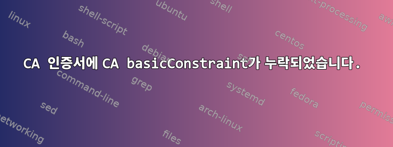 CA 인증서에 CA basicConstraint가 누락되었습니다.