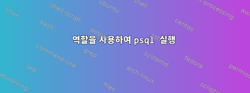 역할을 사용하여 psql 실행