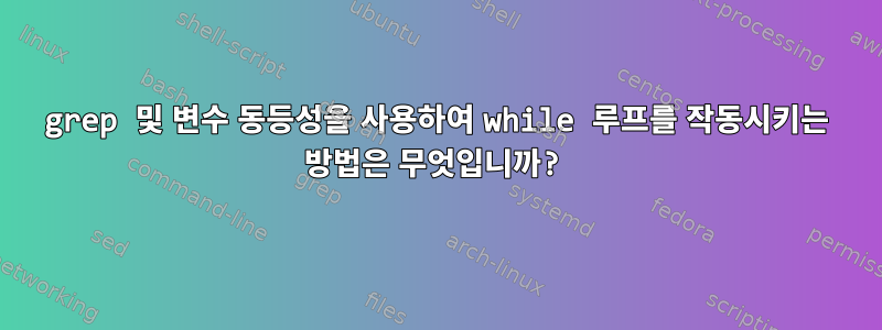 grep 및 변수 동등성을 사용하여 while 루프를 작동시키는 방법은 무엇입니까?