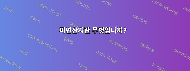 피연산자란 무엇입니까?