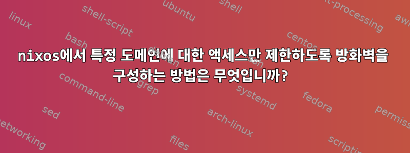 nixos에서 특정 도메인에 대한 액세스만 제한하도록 방화벽을 구성하는 방법은 무엇입니까?