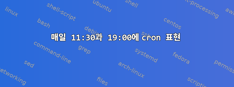 매일 11:30과 19:00에 cron 표현