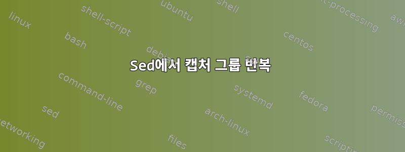 Sed에서 캡처 그룹 반복