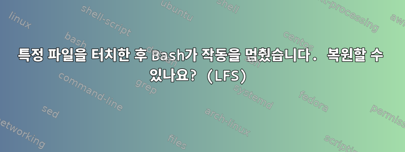 특정 파일을 터치한 후 Bash가 작동을 멈췄습니다. 복원할 수 있나요? (LFS)