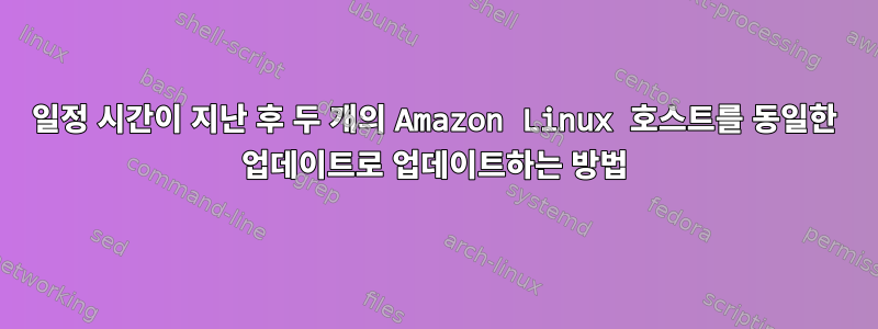 일정 시간이 지난 후 두 개의 Amazon Linux 호스트를 동일한 업데이트로 업데이트하는 방법