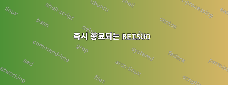 즉시 종료되는 REISUO