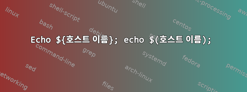 Echo ${호스트 이름}; echo $(호스트 이름);