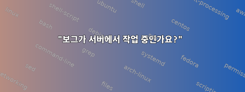 "보그가 서버에서 작업 중인가요?"