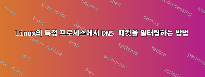 Linux의 특정 프로세스에서 DNS 패킷을 필터링하는 방법